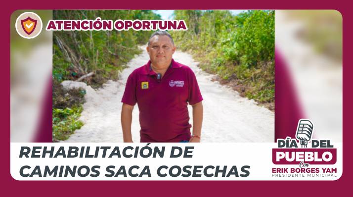 Título del artículo