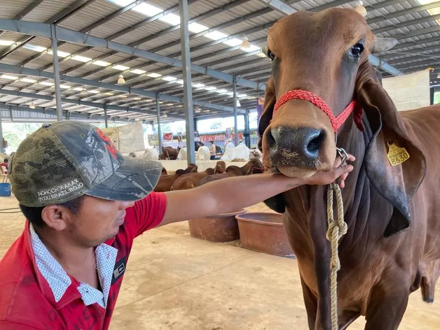 Ganadería en Morelos