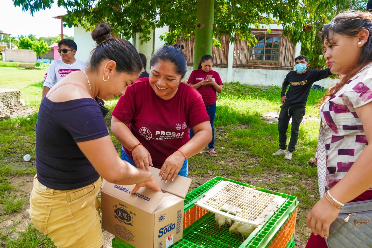 IMG-20251016-WA0013 ERIK BORGES YAM IMPULSA LA AUTOSUFICIENCIA ALIMENTARIA CON LA ENTREGA DE CASI 8 MIL GALLINAS PONEDORAS EN COMUNIDADES RURALES