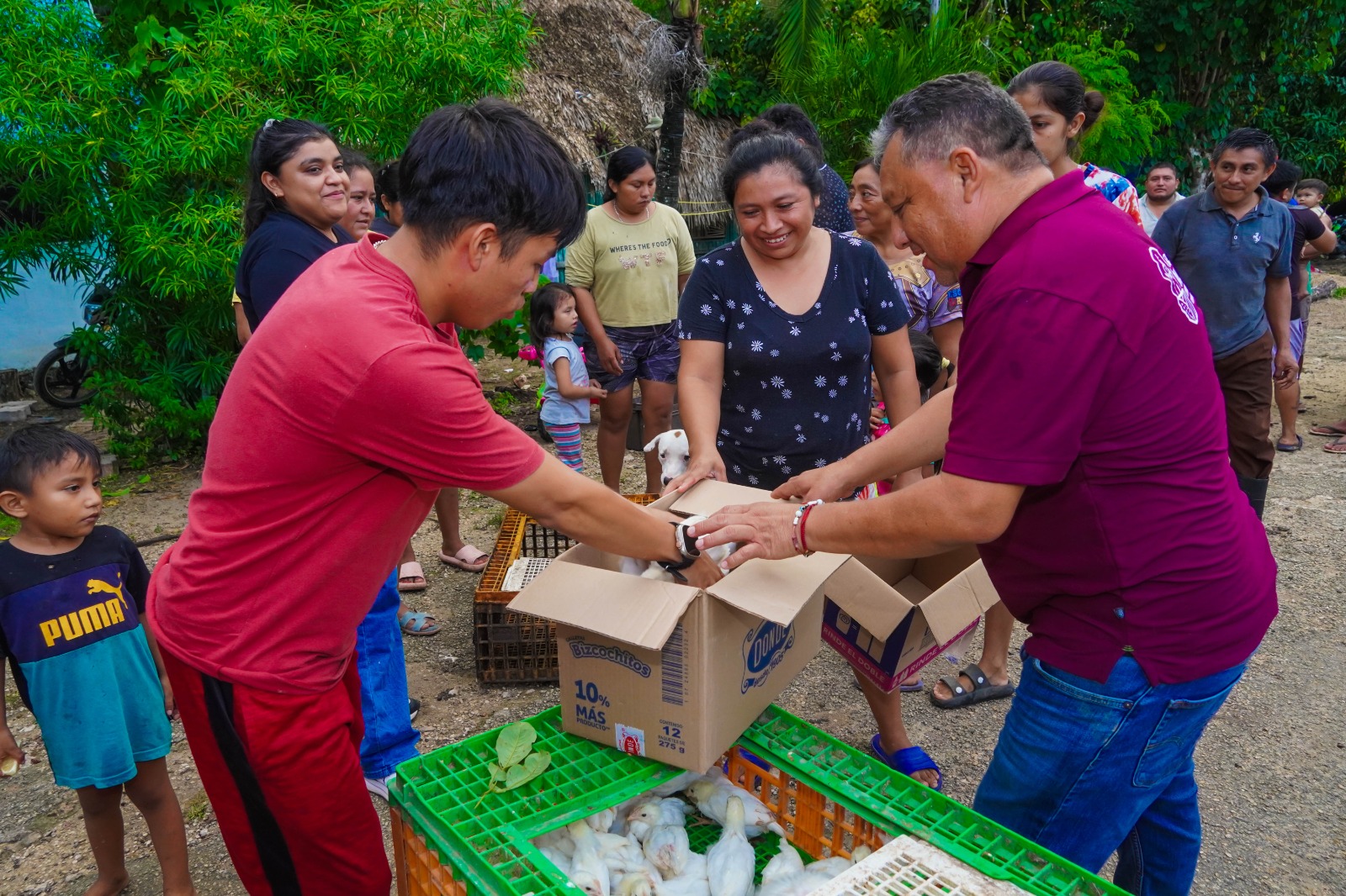 IMG-20251030-WA0049 CULMINA CON HISTÓRICO ÉXITO EL PROGRAMA DE PROSPERIDAD ALIMENTARIA FAMILIAR: SE ENTREGARON MÁS DE 40 MIL GALLINAS PONEDORAS EN JOSÉ MARÍA MORELOS