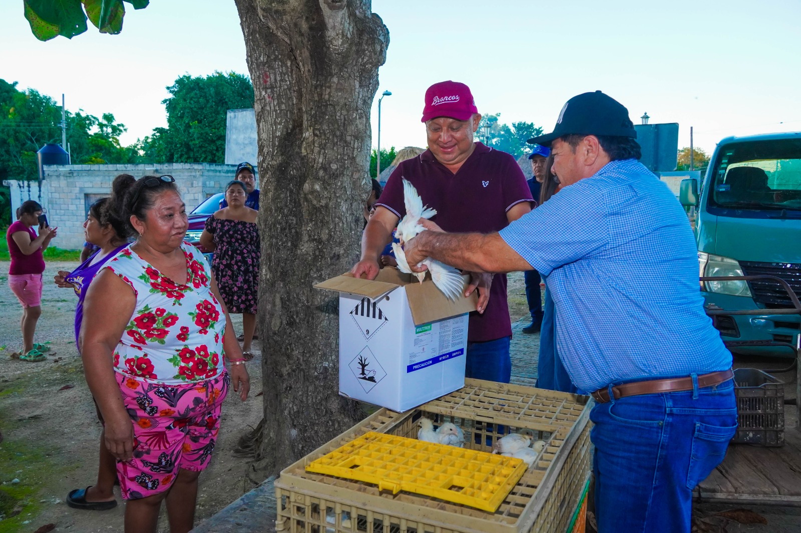 IMG-20251030-WA0050 CULMINA CON HISTÓRICO ÉXITO EL PROGRAMA DE PROSPERIDAD ALIMENTARIA FAMILIAR: SE ENTREGARON MÁS DE 40 MIL GALLINAS PONEDORAS EN JOSÉ MARÍA MORELOS