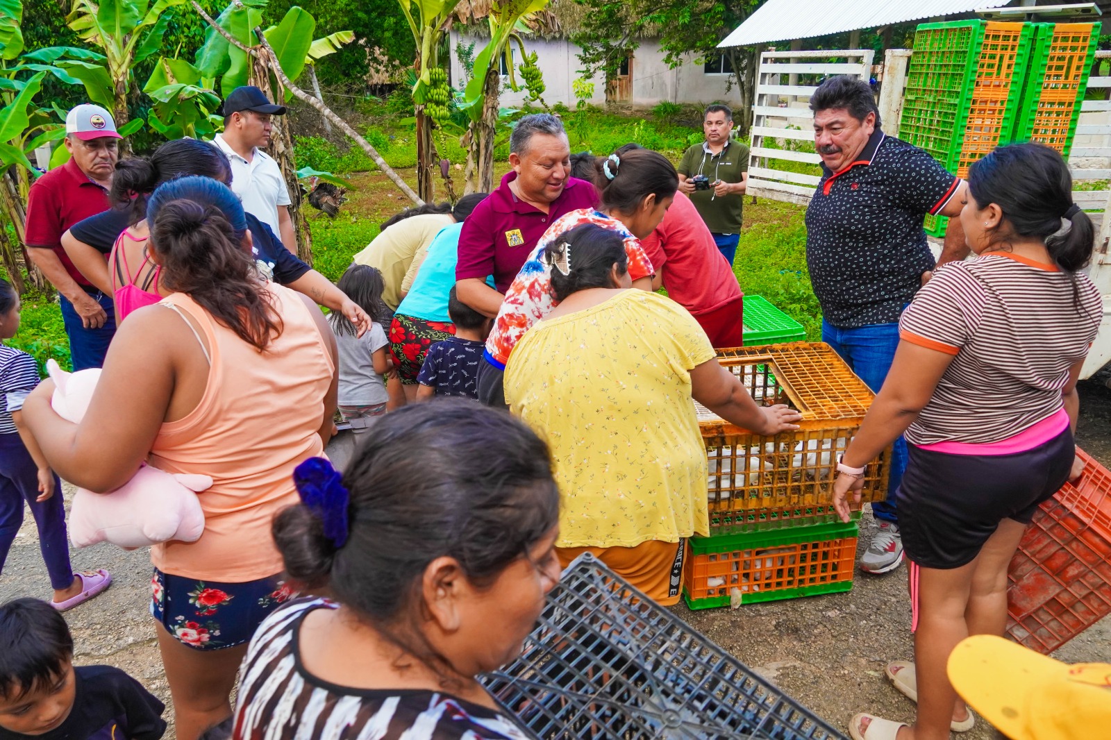 IMG-20251030-WA0051 CULMINA CON HISTÓRICO ÉXITO EL PROGRAMA DE PROSPERIDAD ALIMENTARIA FAMILIAR: SE ENTREGARON MÁS DE 40 MIL GALLINAS PONEDORAS EN JOSÉ MARÍA MORELOS