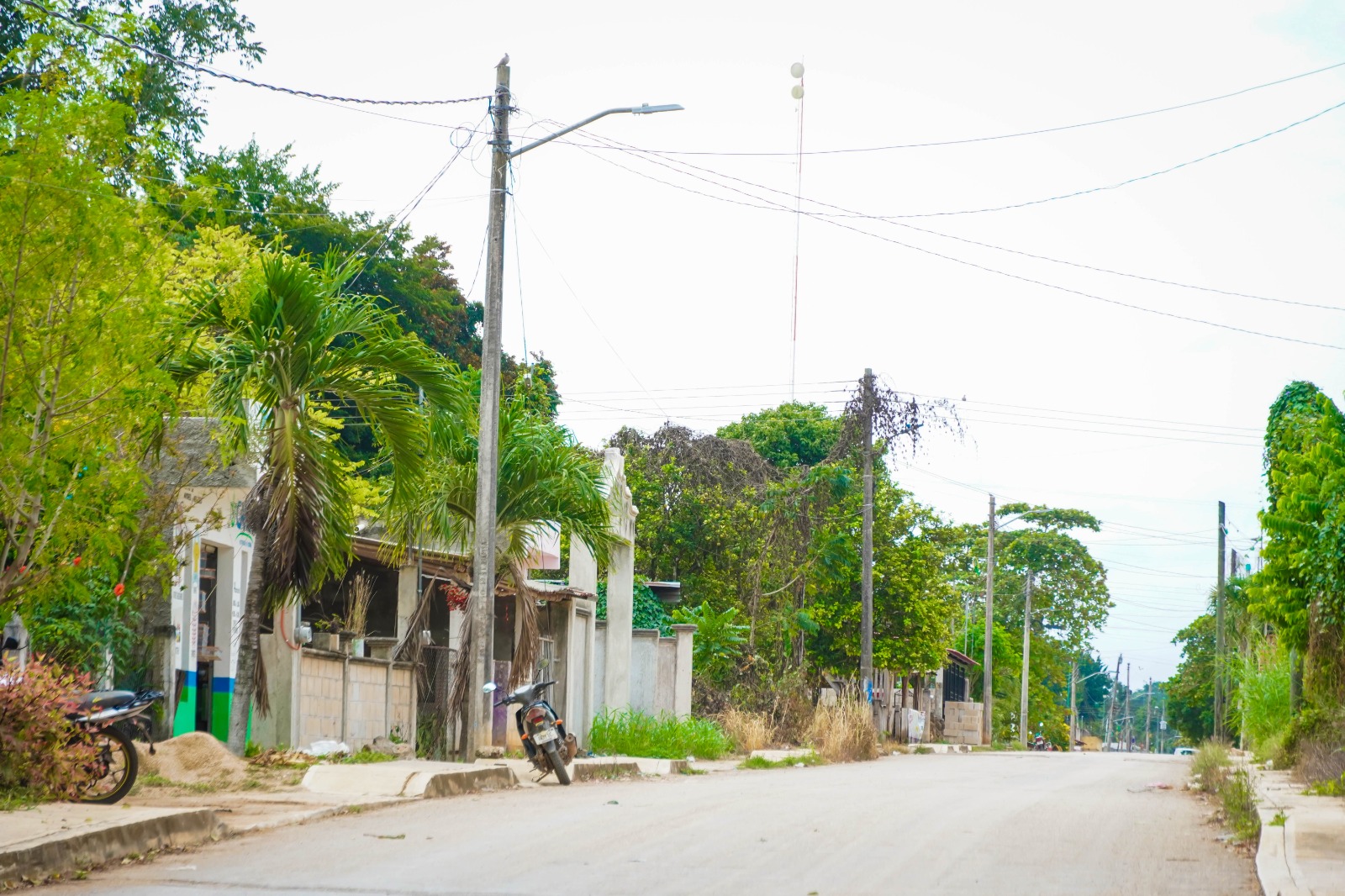 IMG-20251115-WA0007 CANDELARIA ESTÁ CIEN POR CIENTO ILUMINADA GRACIAS AL GOBIERNO DEL PUEBLO QUE ENCABEZA ERIK BORGES YAM
