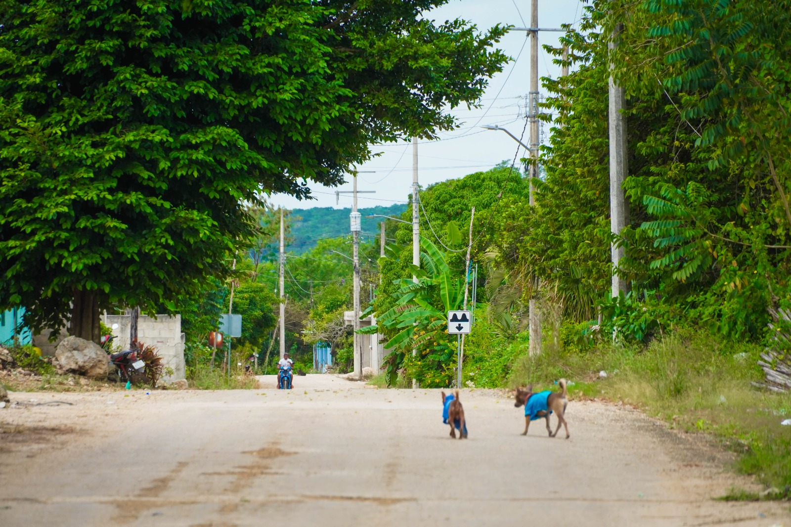 IMG-20251115-WA0009 CANDELARIA ESTÁ CIEN POR CIENTO ILUMINADA GRACIAS AL GOBIERNO DEL PUEBLO QUE ENCABEZA ERIK BORGES YAM