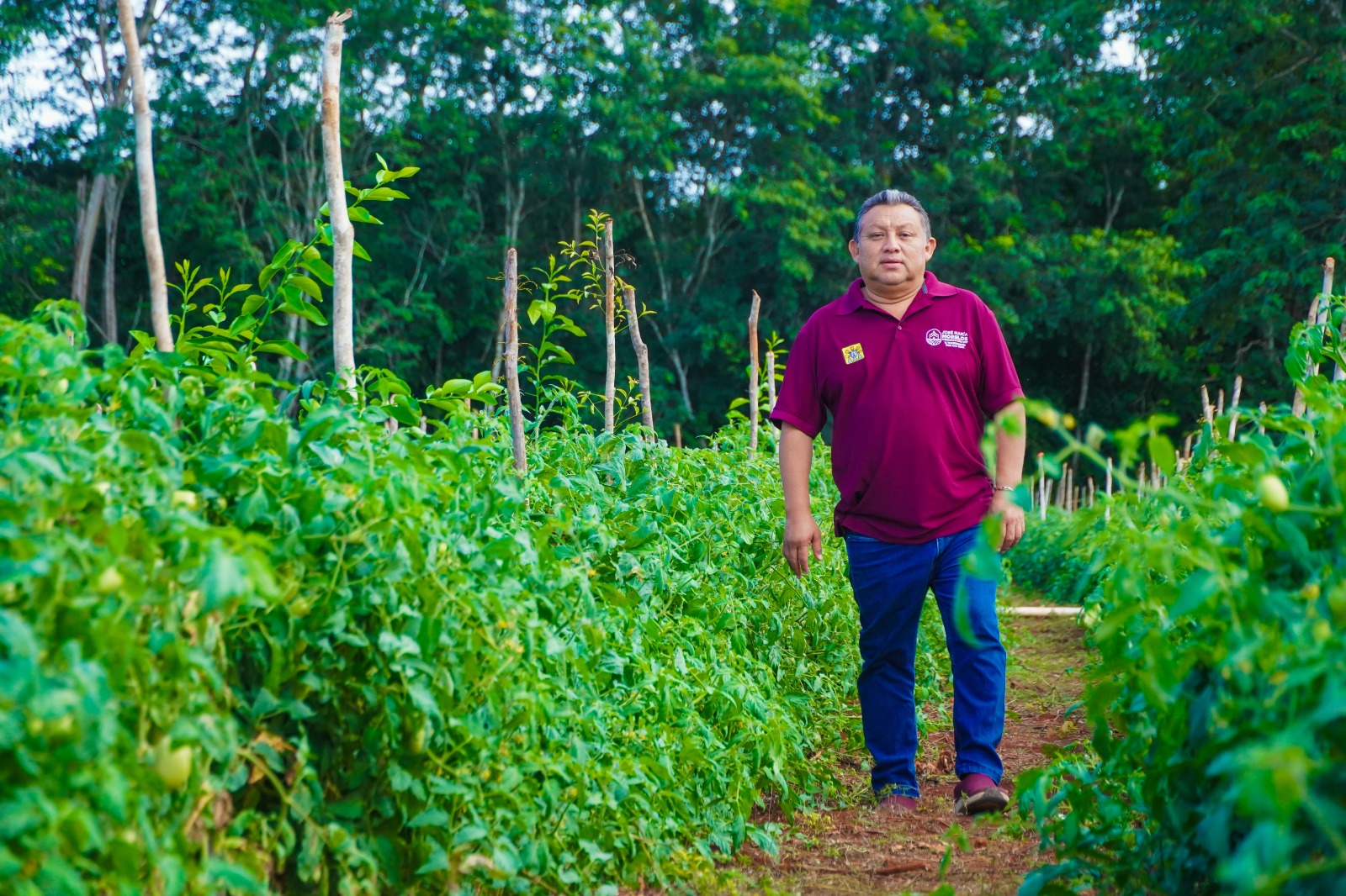 IMG-20251118-WA0001 EN JOSÉ MARÍA MORELOS LATE EL CORAZÓN DEL CAMPO QUINTANARROENSE GRACIAS AL IMPULSO DEL GOBIERNO DE LA TRANSFORMACIÓN