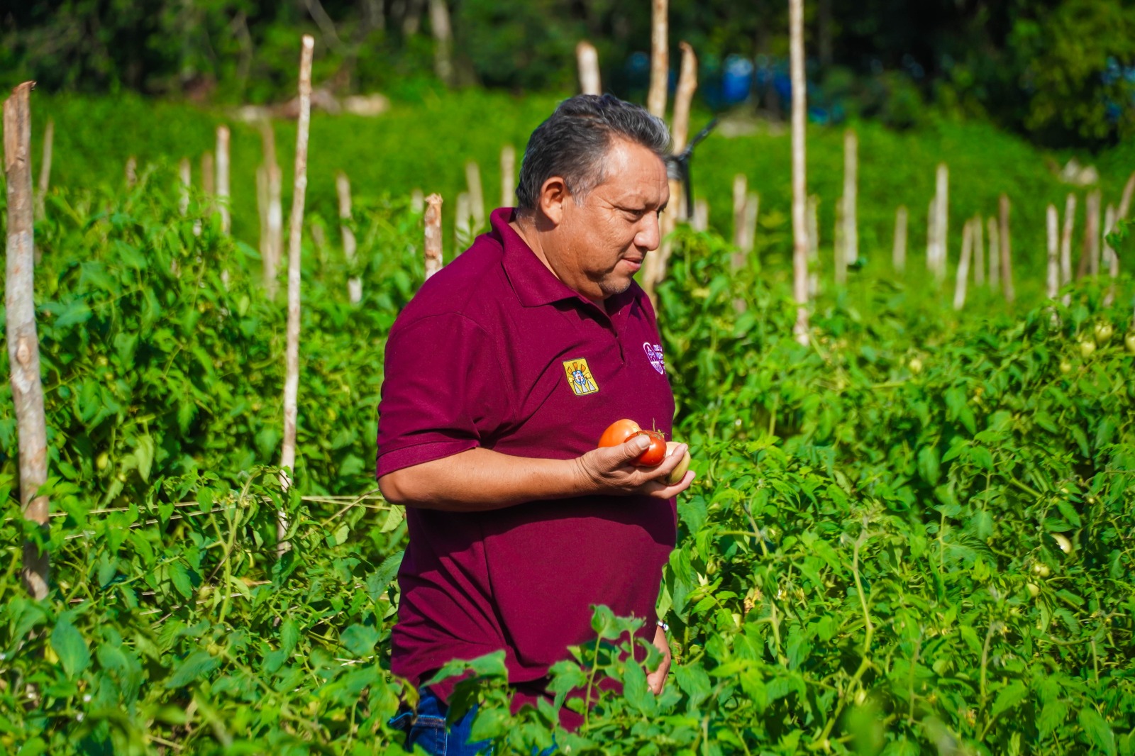 IMG-20251118-WA0003 EN JOSÉ MARÍA MORELOS LATE EL CORAZÓN DEL CAMPO QUINTANARROENSE GRACIAS AL IMPULSO DEL GOBIERNO DE LA TRANSFORMACIÓN