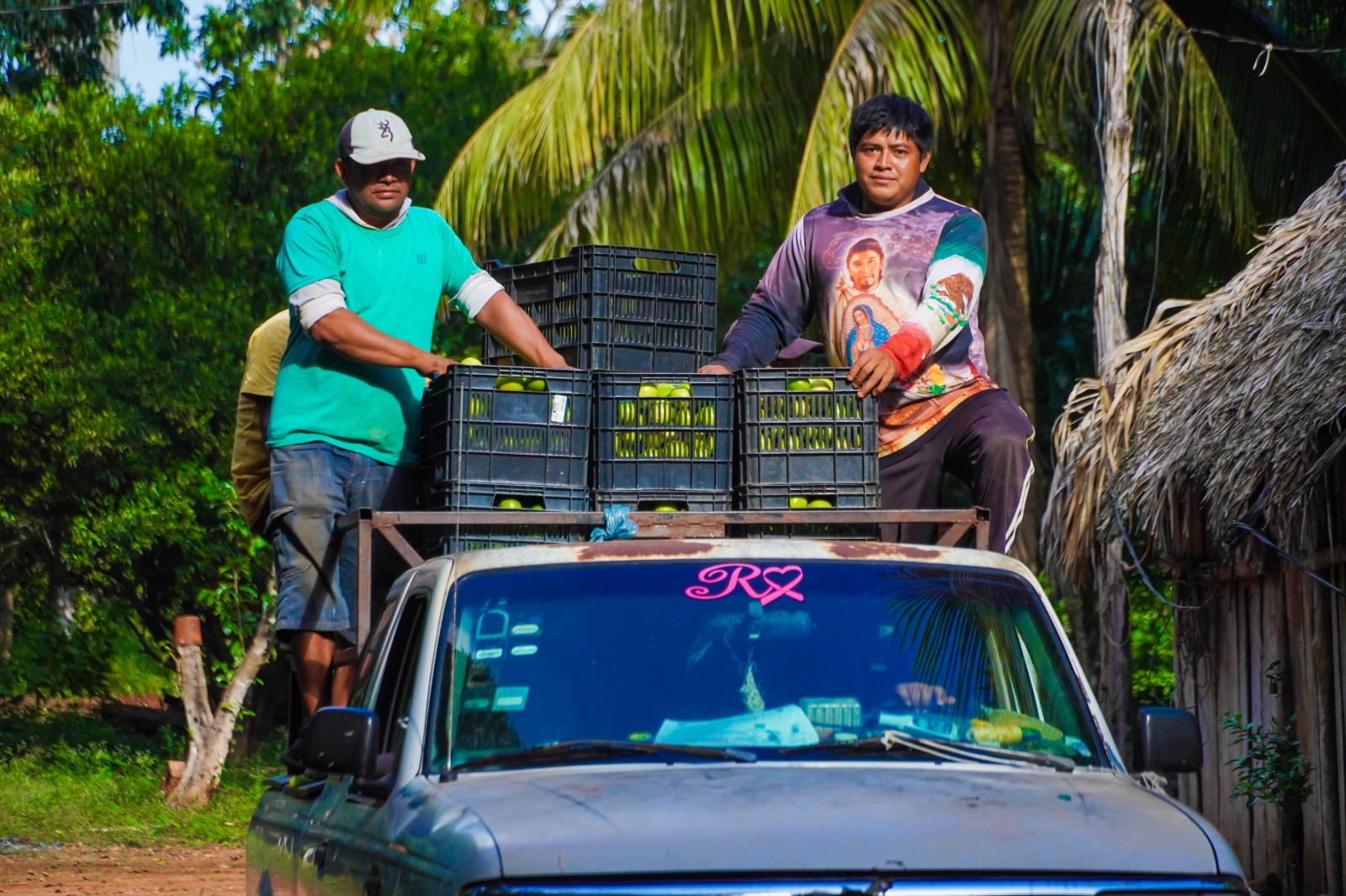 IMG-20251118-WA0005 EN JOSÉ MARÍA MORELOS LATE EL CORAZÓN DEL CAMPO QUINTANARROENSE GRACIAS AL IMPULSO DEL GOBIERNO DE LA TRANSFORMACIÓN